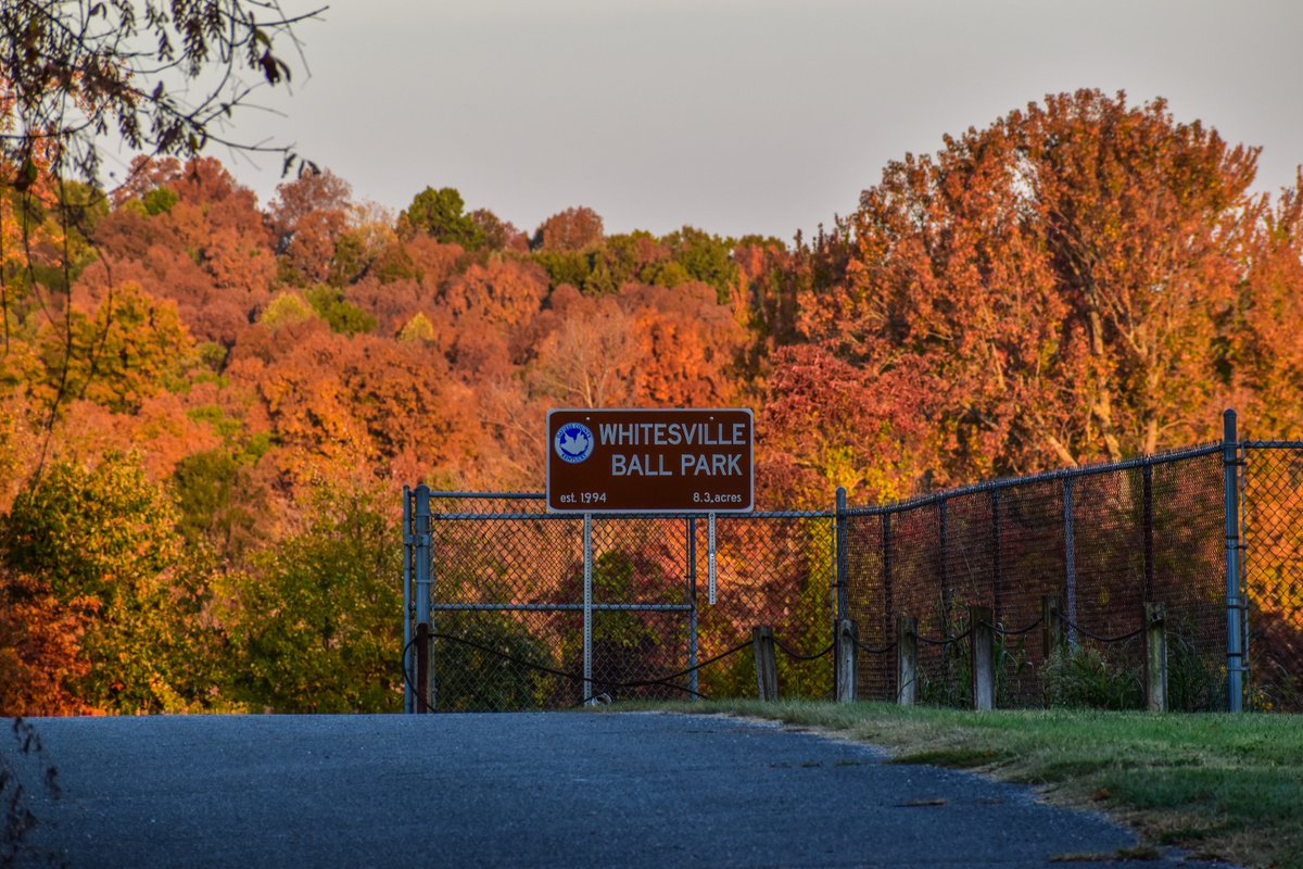 DaviessFiscalCo's tweet photo. The City of Whitesville, Kentucky is magnificent in the fall.
One of the prettiest towns in the entire Commonwealth. Look at those leaves!
#DaviessCounty #Whitesville #Kentucky #October #FallFoliage #Autumn #GoldenHour https://t.co/dRnWyIn23d