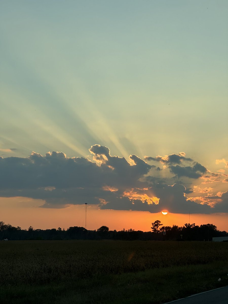 𝚋𝚛𝚒𝚝𝚝 𝚐 🐧 tweet media