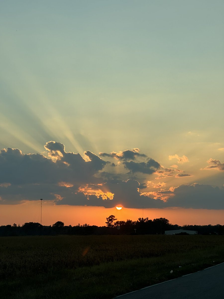 𝚋𝚛𝚒𝚝𝚝 𝚐 🐧 tweet media