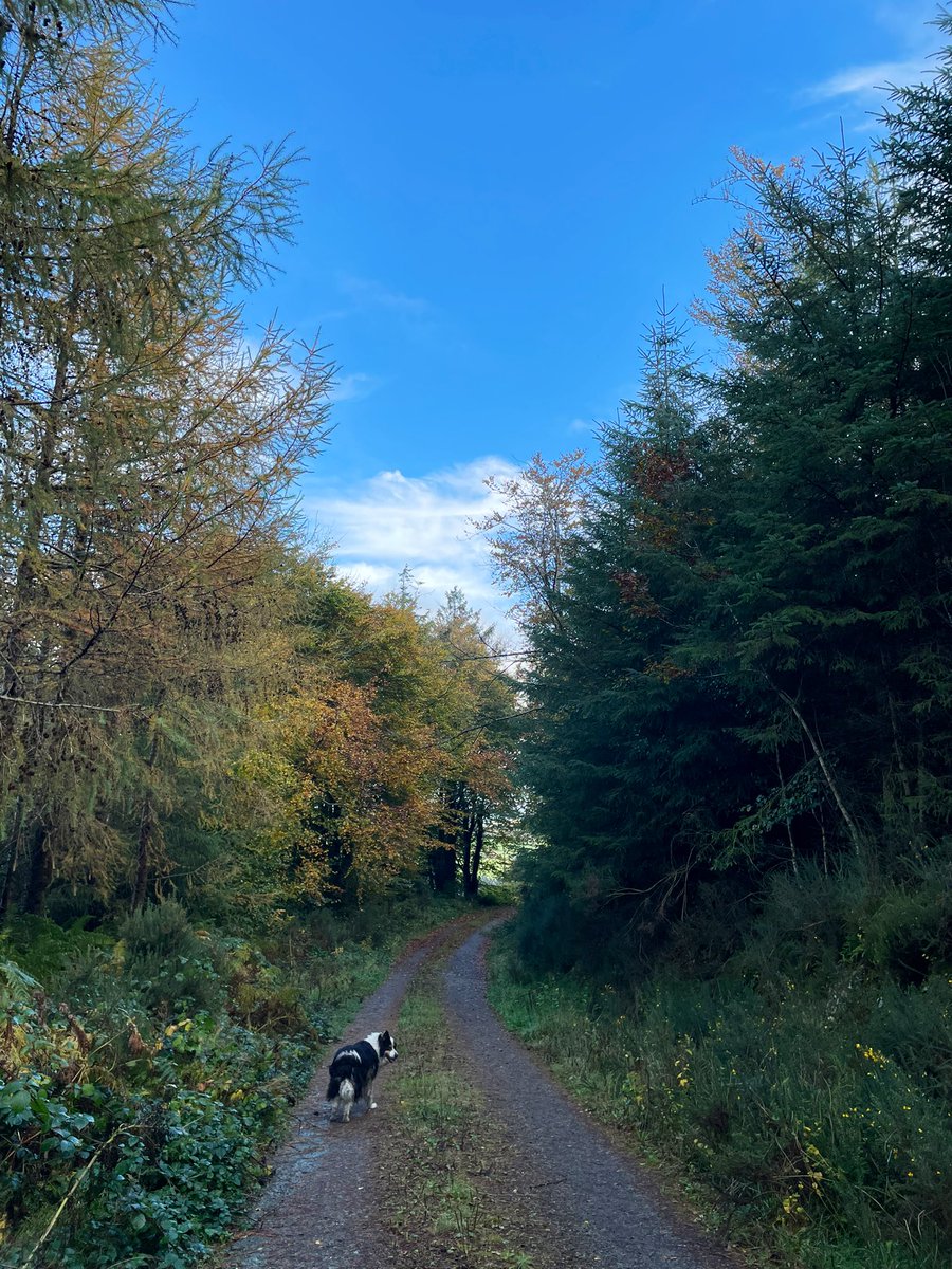 MadeleineNiCon's tweet photo. Rain, wind, blue sky. We take it all 🙌
#100daysofwalking 
#365daysofwalking https://t.co/pM1InbFtyg