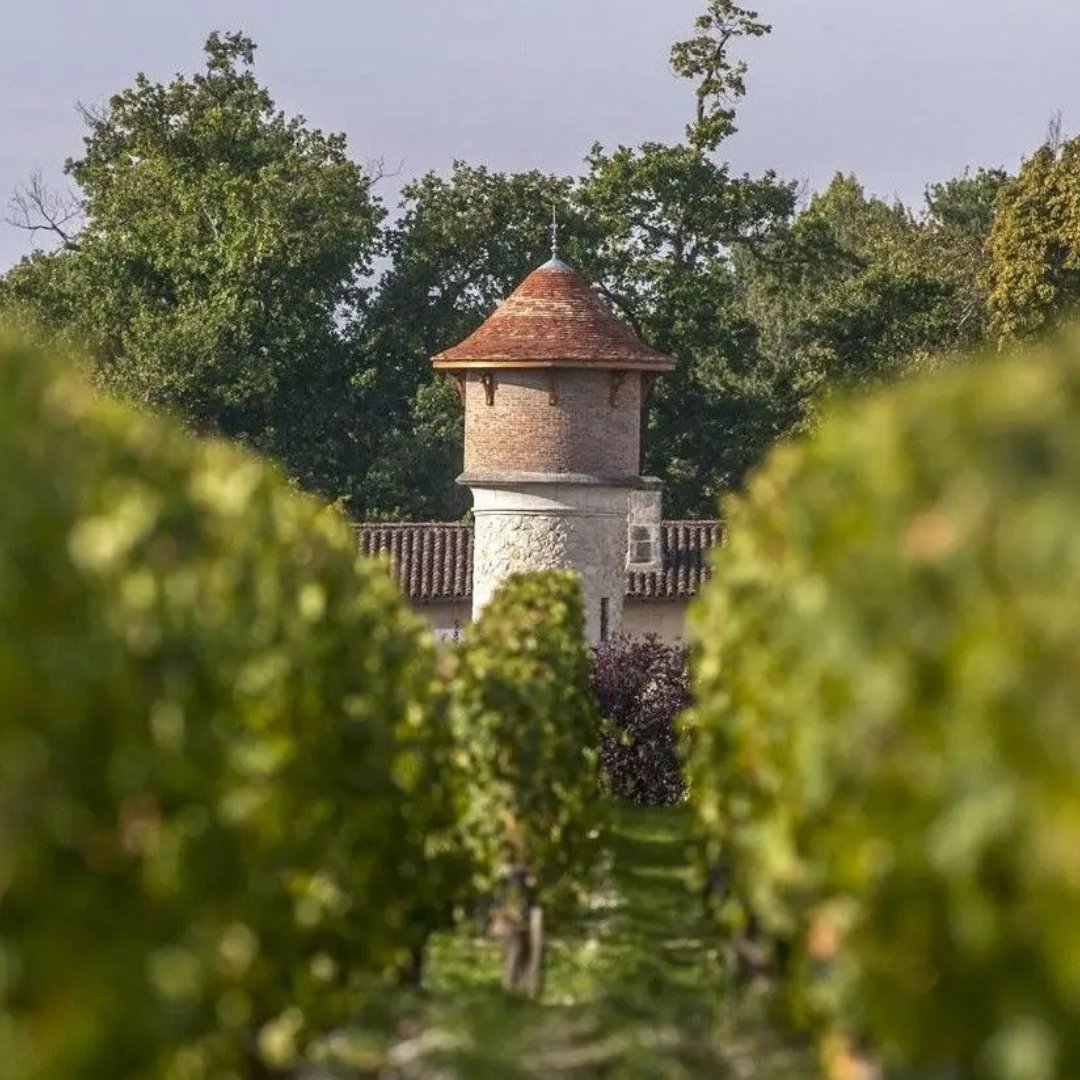 🏰 Château Brane-Cantenac, quatre siècles d’histoire et d’excellence. 
🍇 Référencé dans le Féret dès la 1ère édition en 1850.
📲 zurl.co/sbGi 

 #ChâteauBraneCantenac #Bordeaux #FamilleLurton