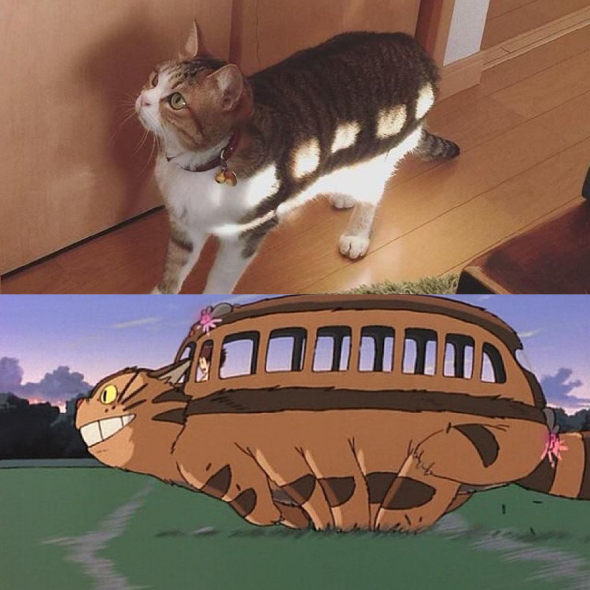 anime_'s tweet photo. Same energy https://t.co/buywndd1WN