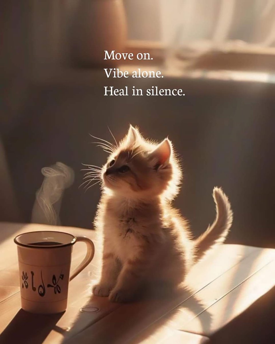 Assalamualaikum ✨️ 
Good Morning Everyone 🌄 
How are you all X Faimly?