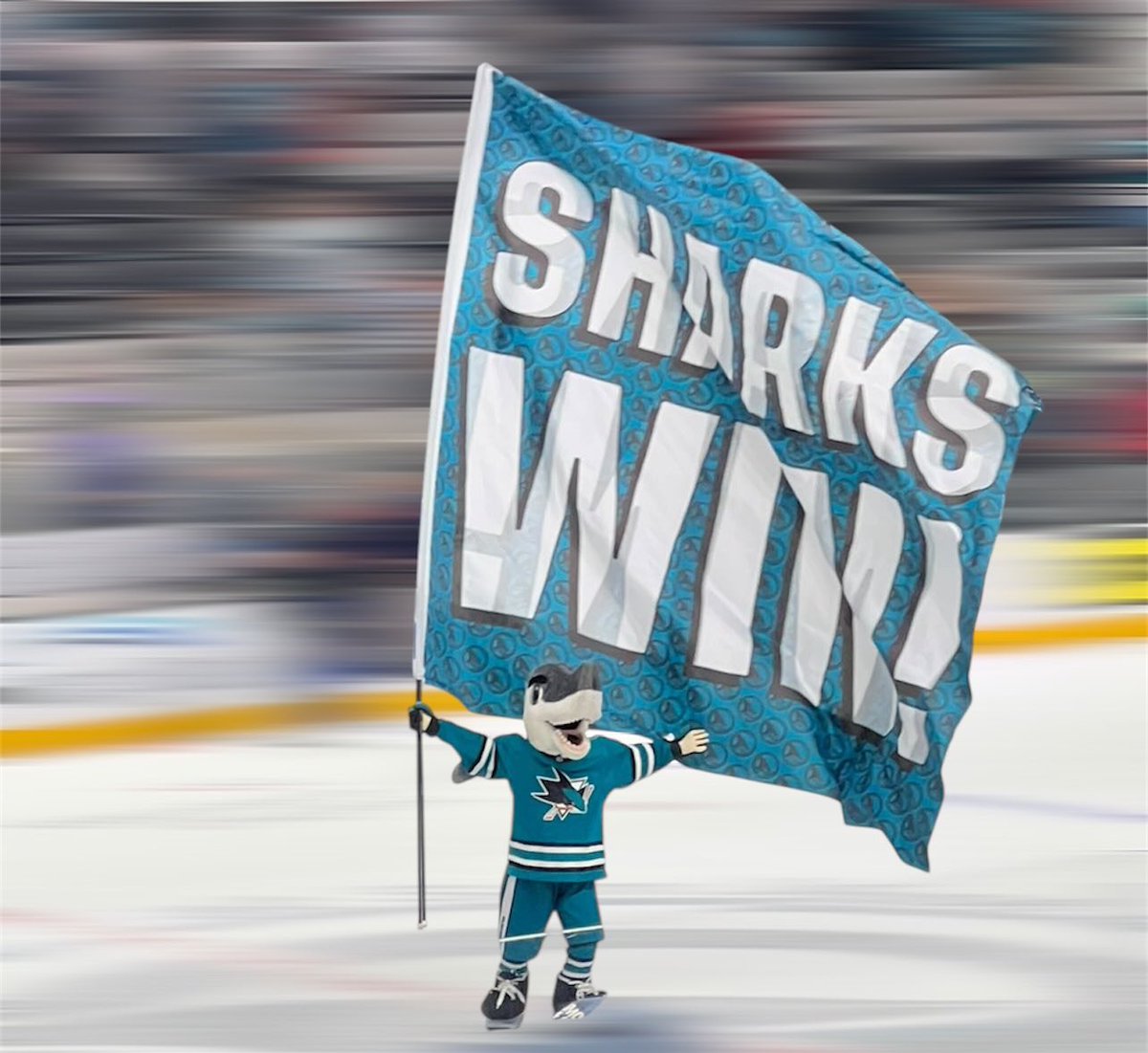 sjsharkie's tweet image. Who says Mondays are bad??