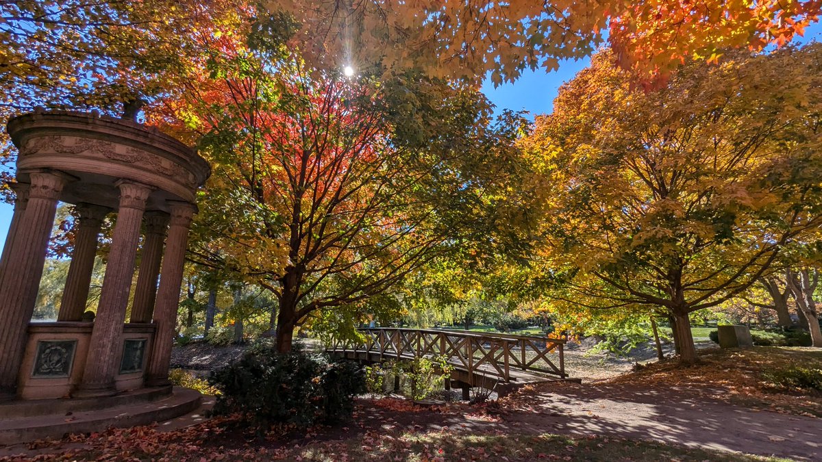 Amfurknee's tweet photo. Graceland #Cemetery located at the corner of Irving Park and Clark. #Chicago #fall #foliage #season #Halloween https://t.co/leRucLWhsV