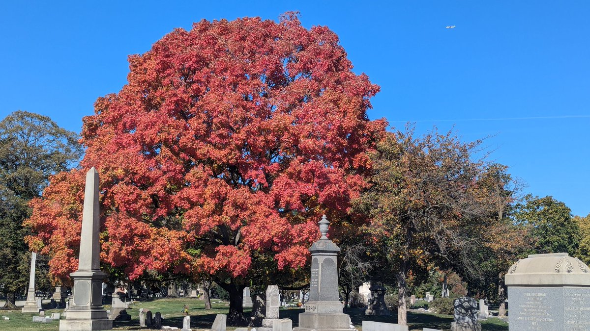 Amfurknee's tweet photo. Graceland #Cemetery located at the corner of Irving Park and Clark. #Chicago #fall #foliage #season #Halloween https://t.co/leRucLWhsV