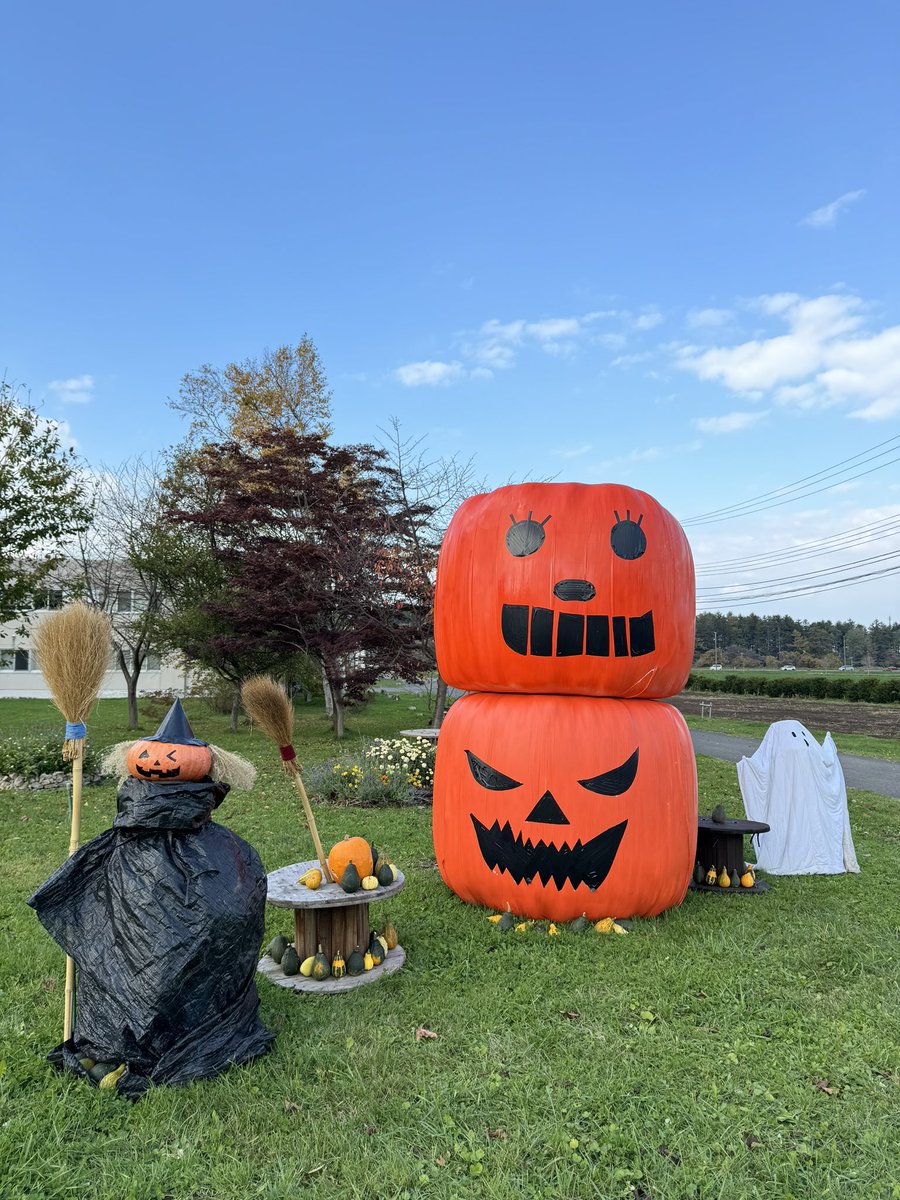 rakunogakuen's tweet photo. 昼の酪農学園大学🎃
#牧草ロール🎃
#かぼちゃ
#ハロウィン👻
#もうすぐハロウィン👻🎃
#トリック・オア・トリート
#お菓子もらう合言葉
#遊び心
#fedrec
#酪農学園大学 https://t.co/rq8idl53Qc