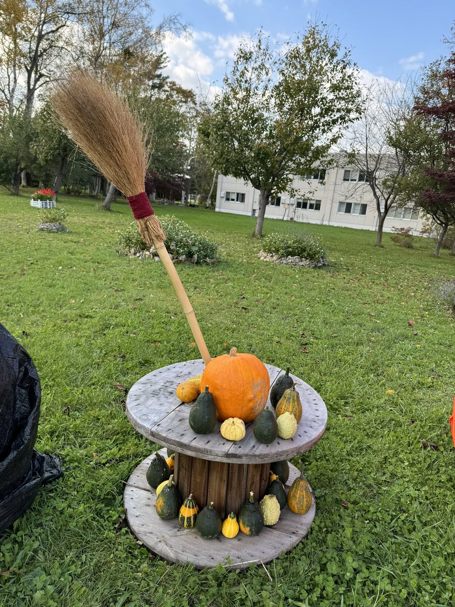 rakunogakuen's tweet photo. 昼の酪農学園大学🎃
#牧草ロール🎃
#かぼちゃ
#ハロウィン👻
#もうすぐハロウィン👻🎃
#トリック・オア・トリート
#お菓子もらう合言葉
#遊び心
#fedrec
#酪農学園大学 https://t.co/rq8idl53Qc