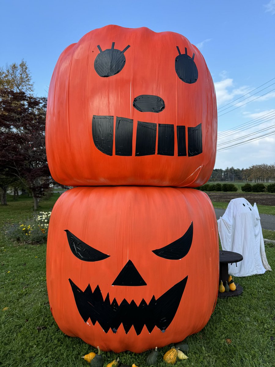 rakunogakuen's tweet photo. 昼の酪農学園大学🎃
#牧草ロール🎃
#かぼちゃ
#ハロウィン👻
#もうすぐハロウィン👻🎃
#トリック・オア・トリート
#お菓子もらう合言葉
#遊び心
#fedrec
#酪農学園大学 https://t.co/rq8idl53Qc
