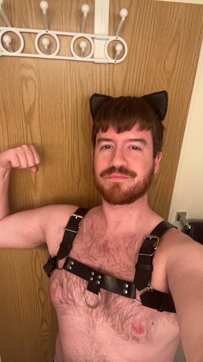 ReeganLex's tweet photo. My costume is a gay person going as a cat for Halloween https://t.co/kXmExwNrKZ