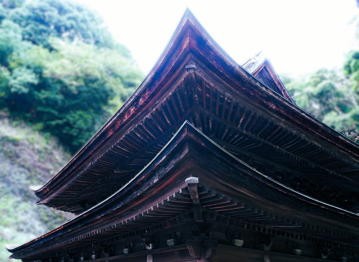 EngakujiK's tweet photo. 11月2日～4日
宝物風入（寺宝展示）、国宝舎利殿特別公開、法話と坐禅の会「功徳林」を開催いたします。期間中特別朱印もございます。
詳しくは円覚寺ホームページをご覧下さい。 https://t.co/k60JMnL5Se