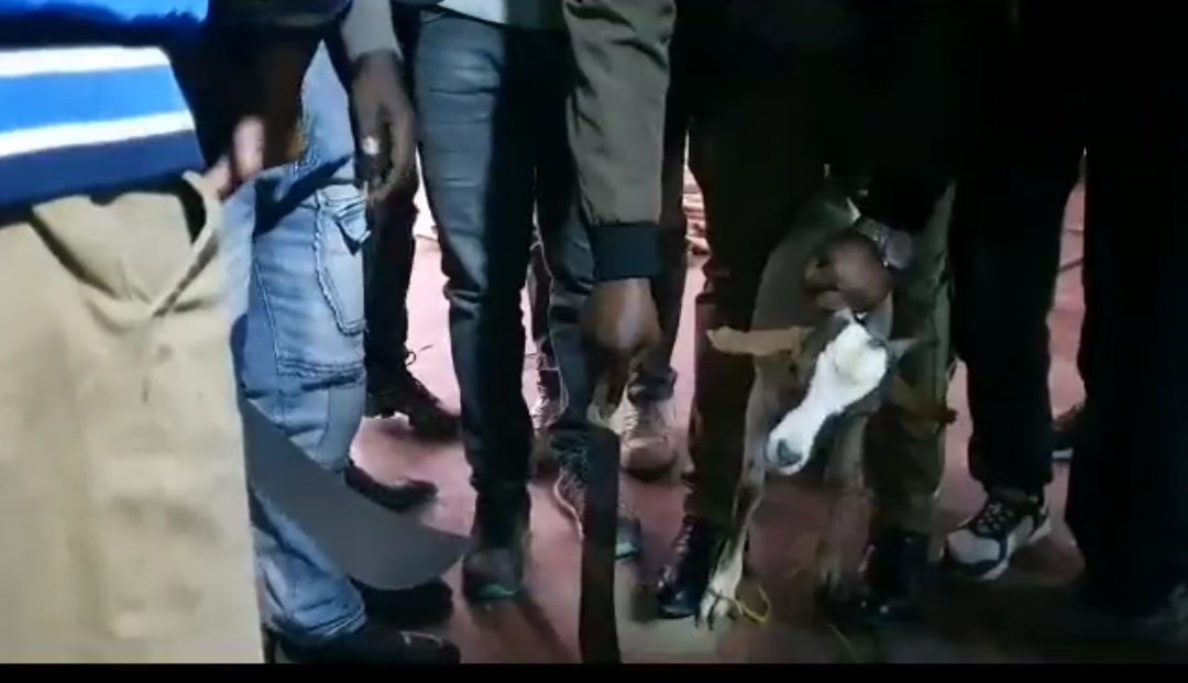 Watch this video of Mungiki taking an oath will holding pangas ,this is scary ( Maina Njenga)
Video on comments 📸👇
