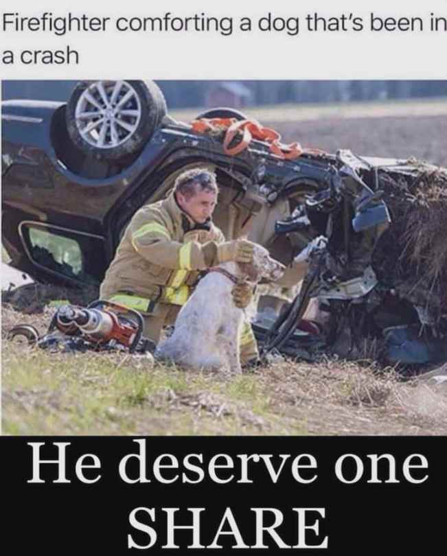 heicky2's tweet image. Exploring the fascination with Heicky