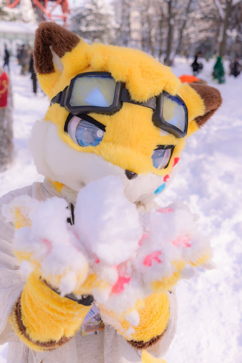 Parisian621's tweet photo. #FursuitEveryday
寒くなって来ましたね☃️
雪撮影したいですね😌❄️ https://t.co/Xoa7Hjbv8v
