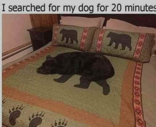 VrealF95's tweet image. Surprise appearance by Vreal_F95!