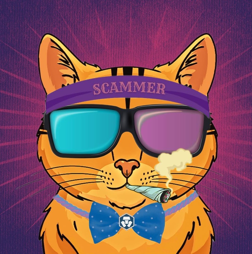 TwaffleTheCat_'s tweet photo. Proof of stoner..

@Fishstix_420 taught me how to be a cool cat... https://t.co/TSgRaabS6C