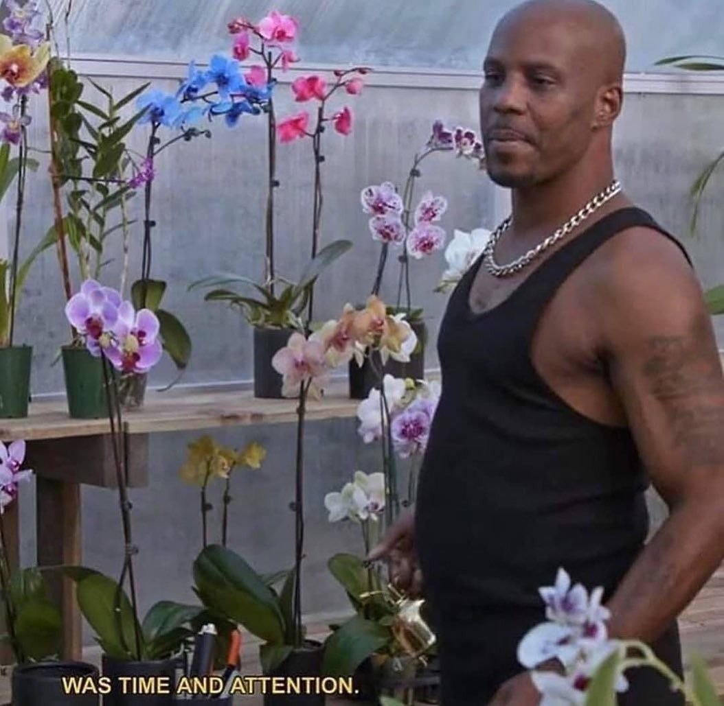 DMX talking about growing his orchids
