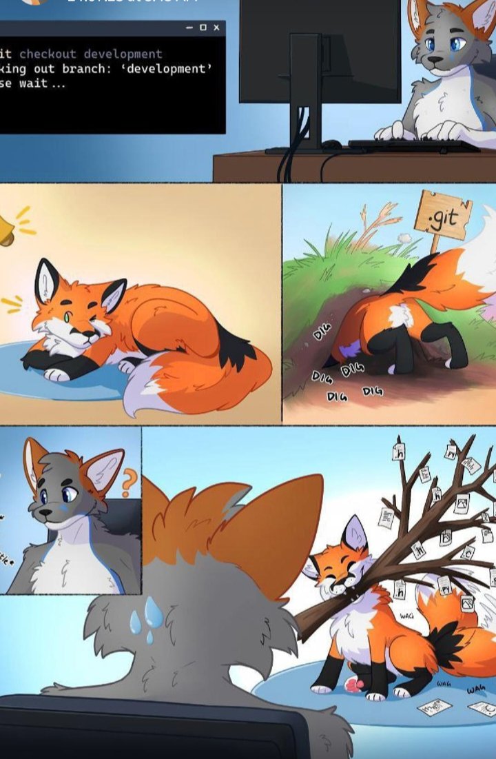 Sparky Fox 🌈 (@SparkyTheFox_) / Posts / X