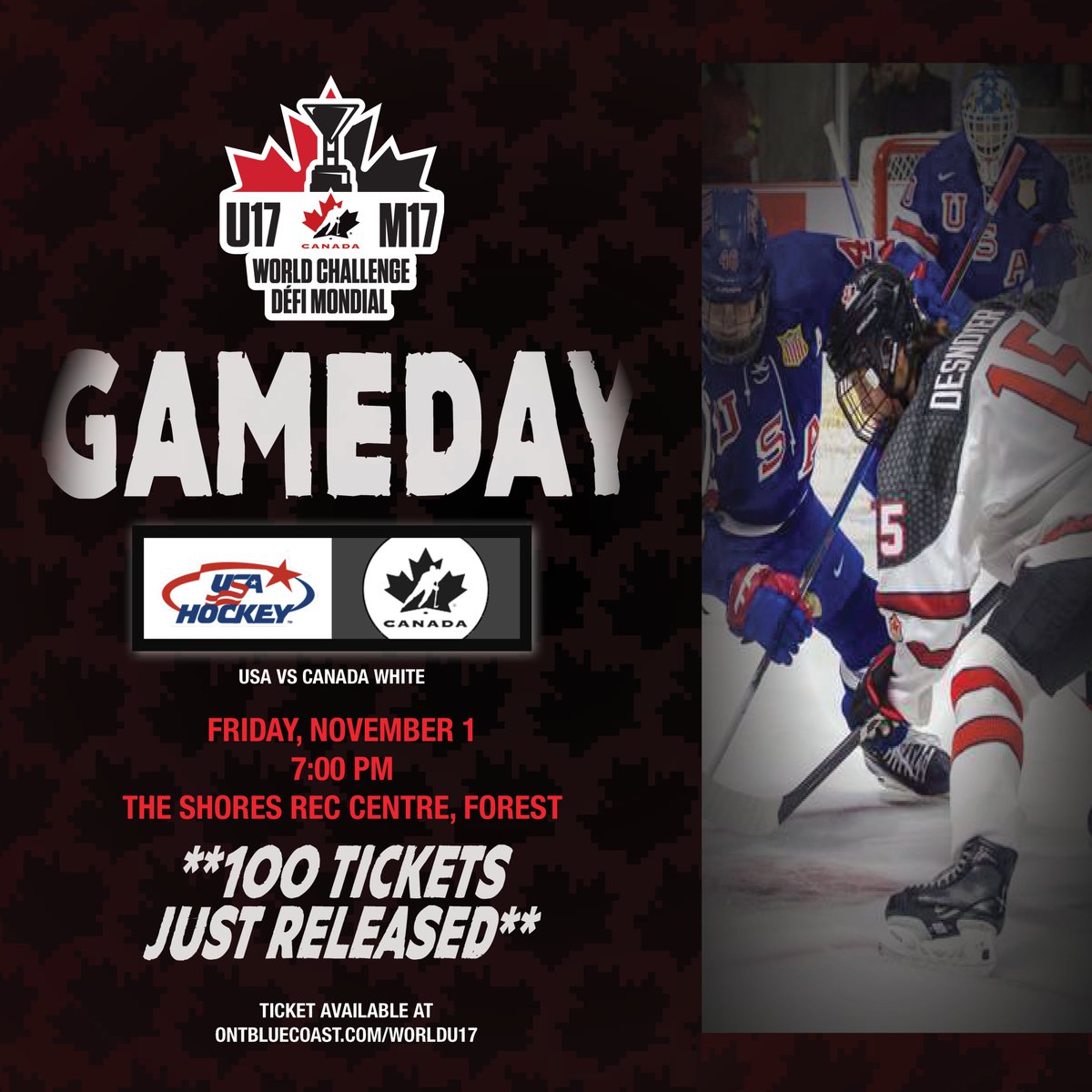 EXCITING NEWS!
An extra 100 tickets for  Nov. 1 game at The Shores Rec Centre in Forest are now available.
Don't want to miss the action as Canada White battles USA
Skate your way over to ticketscene.ca/events/49447/ and get your tickets now