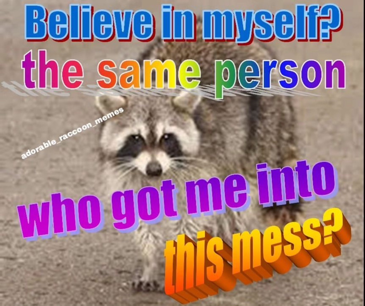 raccoon aesthetic. (@raccoonesthetic) on Twitter photo 