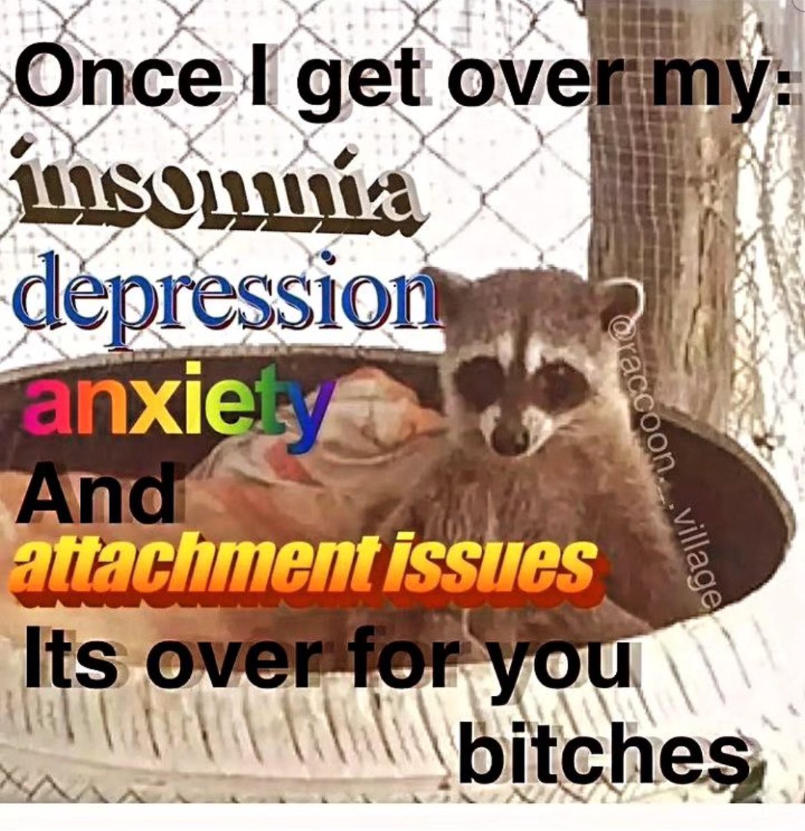 raccoon aesthetic. (@raccoonesthetic) on Twitter photo 