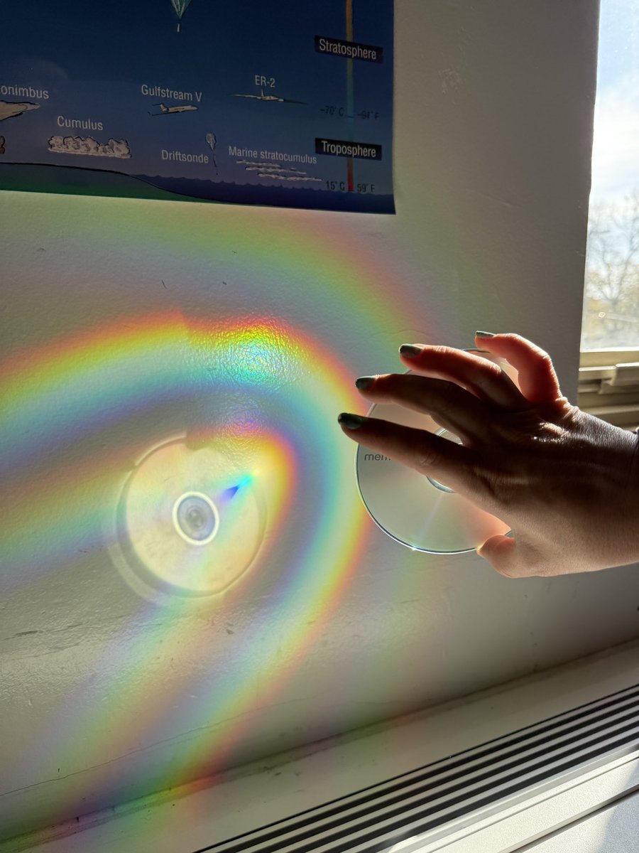 Emily Harer tweet media