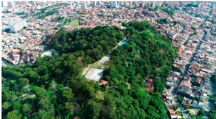 DDHHactivos's tweet photo. La Biodiversidad en Medellín y el Distrito Rural Campesino:
https://t.co/MYIwcCyWD6
#COP16Colombia https://t.co/NnjBnlHhVw
