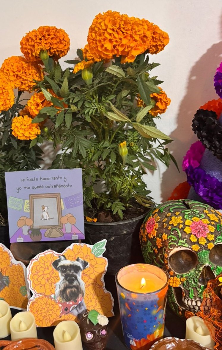 Gerson ⍽ tweet media