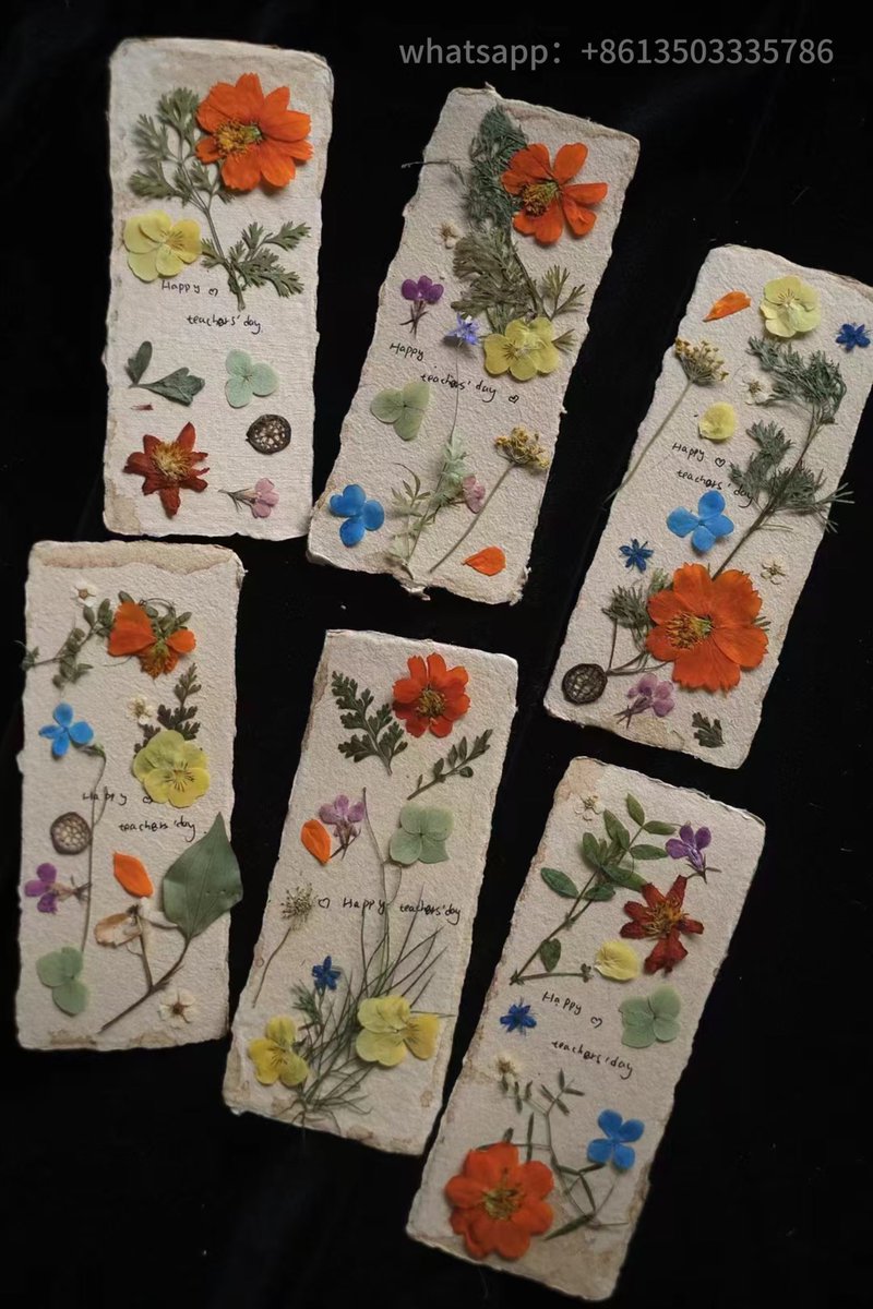 chengwang19503's tweet photo. Customizable. Shipped globally.#Preserved Flower #Greeting card#Dried flowers https://t.co/JZsq8Pj2rF