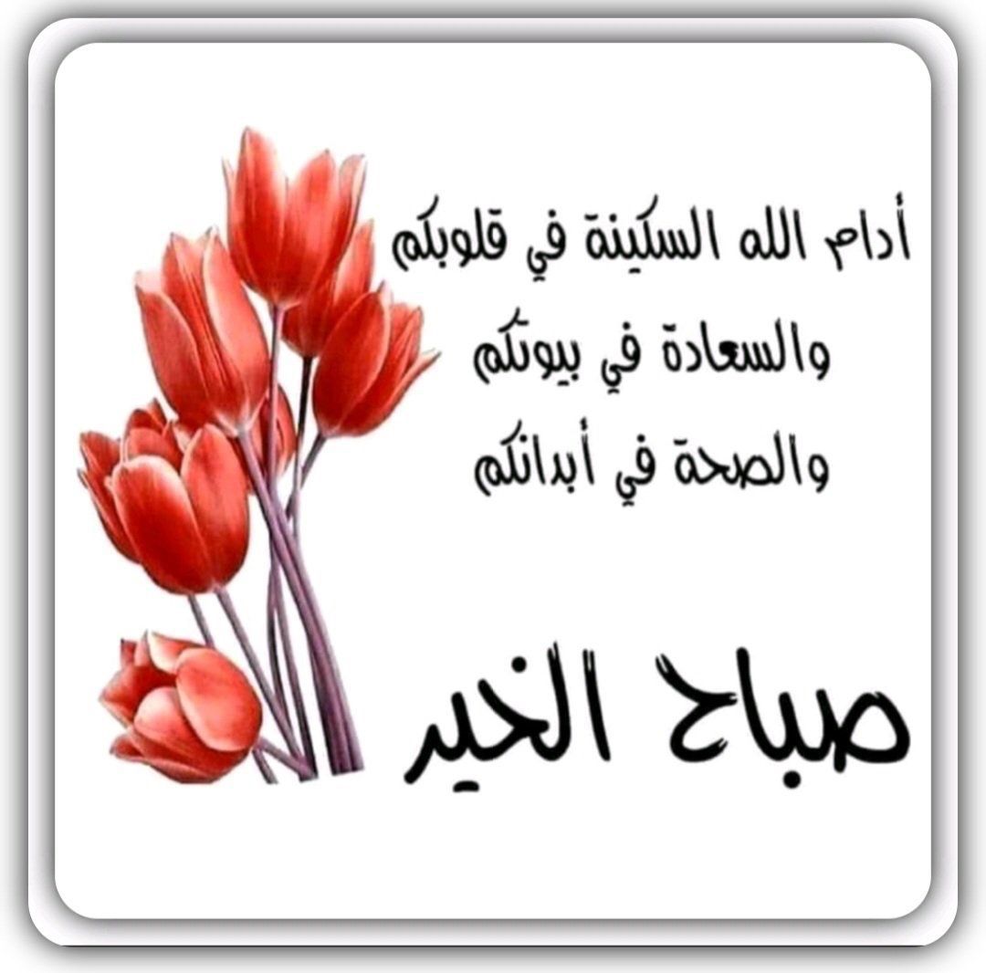 الصقار (@al_sqaar) on Twitter photo 