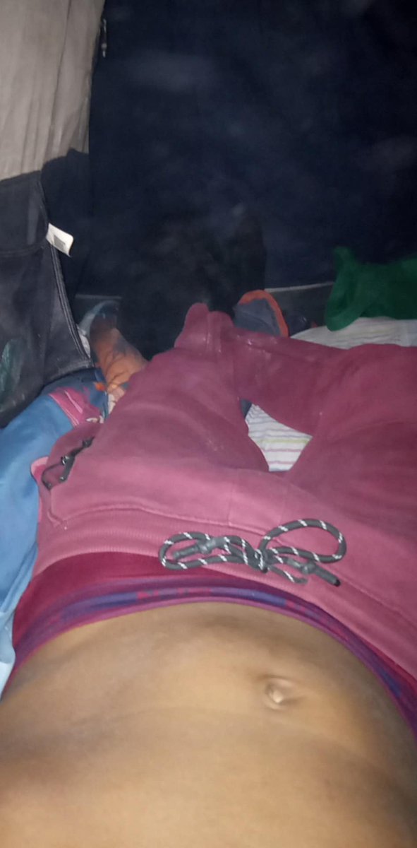 jaimexxl's tweet photo. A descansar #chacal https://t.co/6F07j48iLr