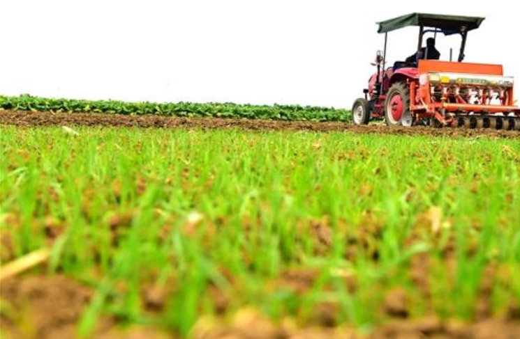 zhu_alice50849's tweet photo. ๐As we reap what we've sown, let's also plant seeds of hope for the future. Every end is a new beginning! ๐พ#FallFarming #SeasonsChange https://t.co/MMWNJayjkb