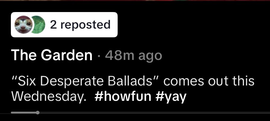 _peeperoni_'s tweet image. #howfun #yay