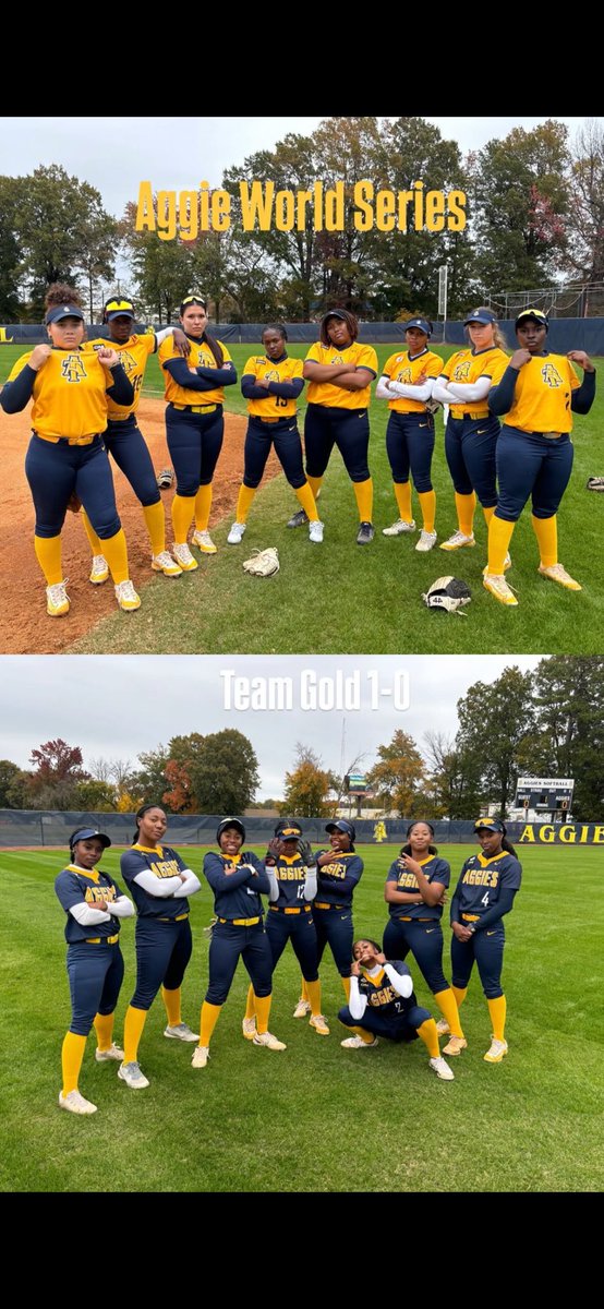 NCATSOFTBALL's tweet photo. Team Gold on TOP 2-0💛💙💛💙

Aggie World Series was a SUCCESS!! https://t.co/tNSRZG4SpM