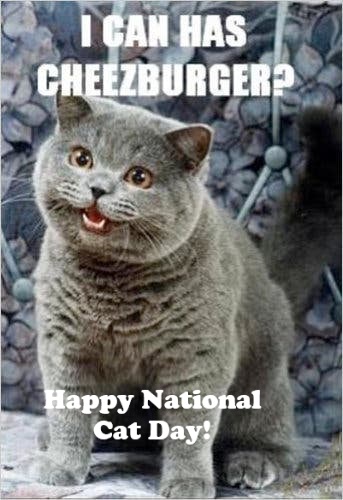 andrew polewarczyk tweet media