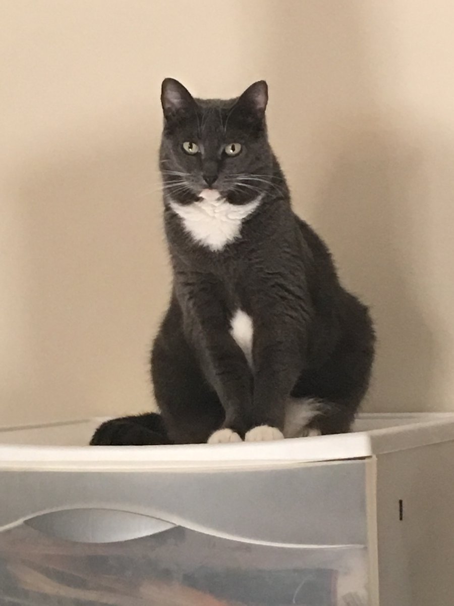 andrew polewarczyk tweet media