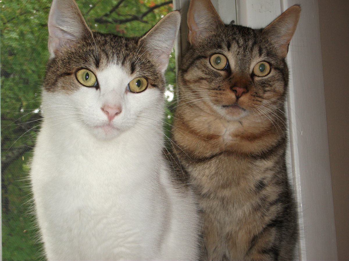 andrew polewarczyk tweet media