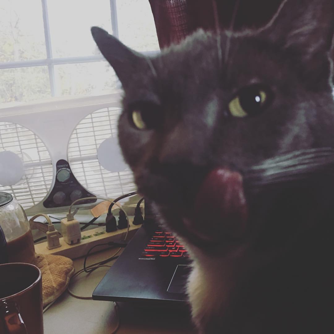 andrew polewarczyk tweet media