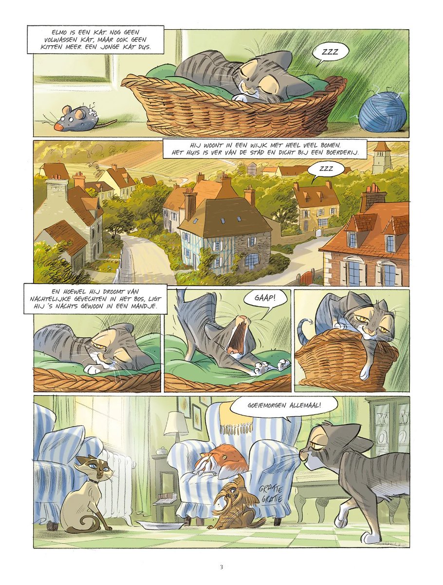 stripland_BENL's tweet image. De Twee Albino's, het eerste deel van het avontuurlijke #Kattenstreken, verschijnt deze week bij #SilvesterStrips. De jonge kat #Elmo (wat een betere reekstitel zou zijn) woont ver van de stad, in alle rust. Maar zijn luizenleventje zal spoedig veranderen. #Turconi #Brrémaud