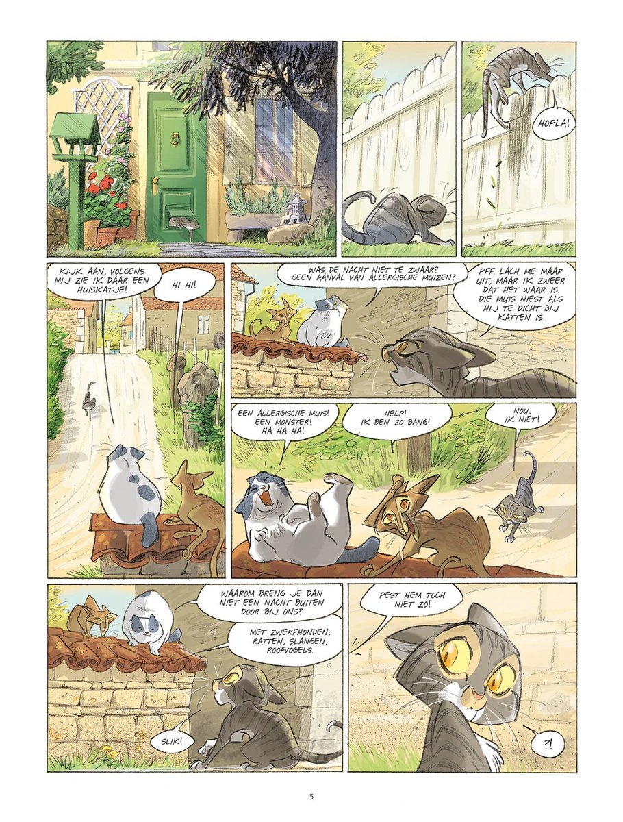 stripland_BENL's tweet image. De Twee Albino's, het eerste deel van het avontuurlijke #Kattenstreken, verschijnt deze week bij #SilvesterStrips. De jonge kat #Elmo (wat een betere reekstitel zou zijn) woont ver van de stad, in alle rust. Maar zijn luizenleventje zal spoedig veranderen. #Turconi #Brrémaud
