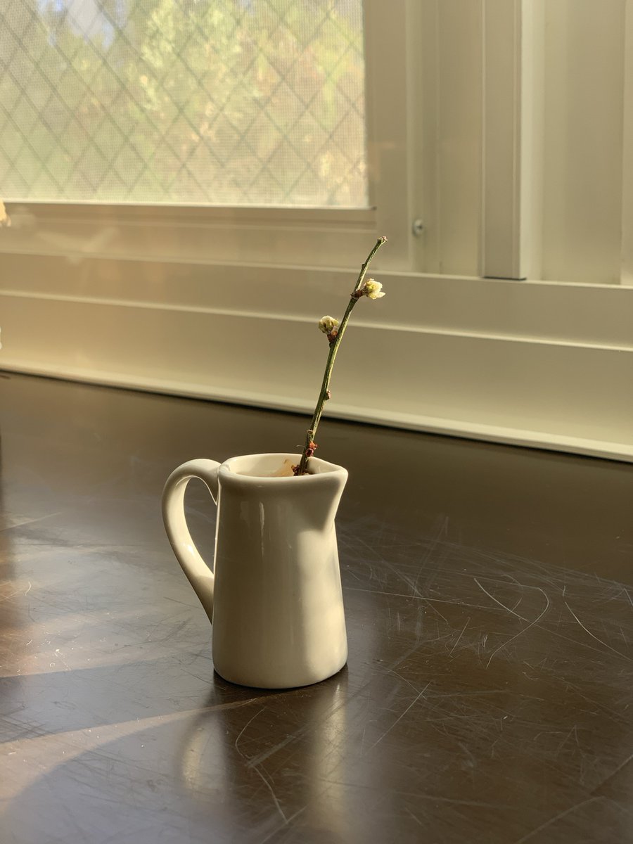 In a private tattoo studio in LA, Reina Asami is bringing to life her admiration and appreciation of her Japanese heritage by modifying calligraphy and other artistic traditions into wearable, livable art. Learn more at ow.ly/wT2Q50TUYy6

#zentokustories #tattoo #belonging