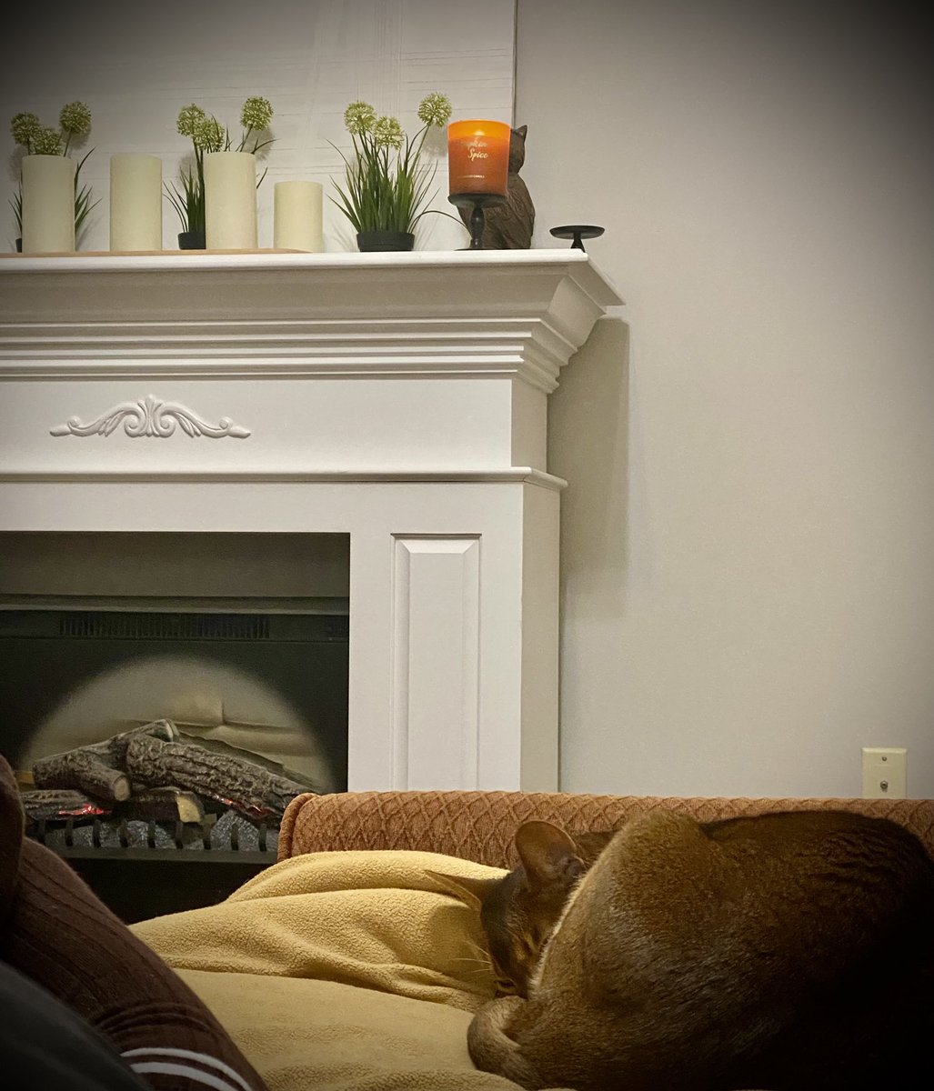 ClaireCre8tes's tweet photo. Life is made of the little moments 🥰
🍁🍂#cozy #thislittlelife #EmmaCat https://t.co/X6OS3Vc1tI