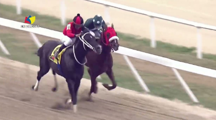 Siempre en la Pomada 🐴 tweet media