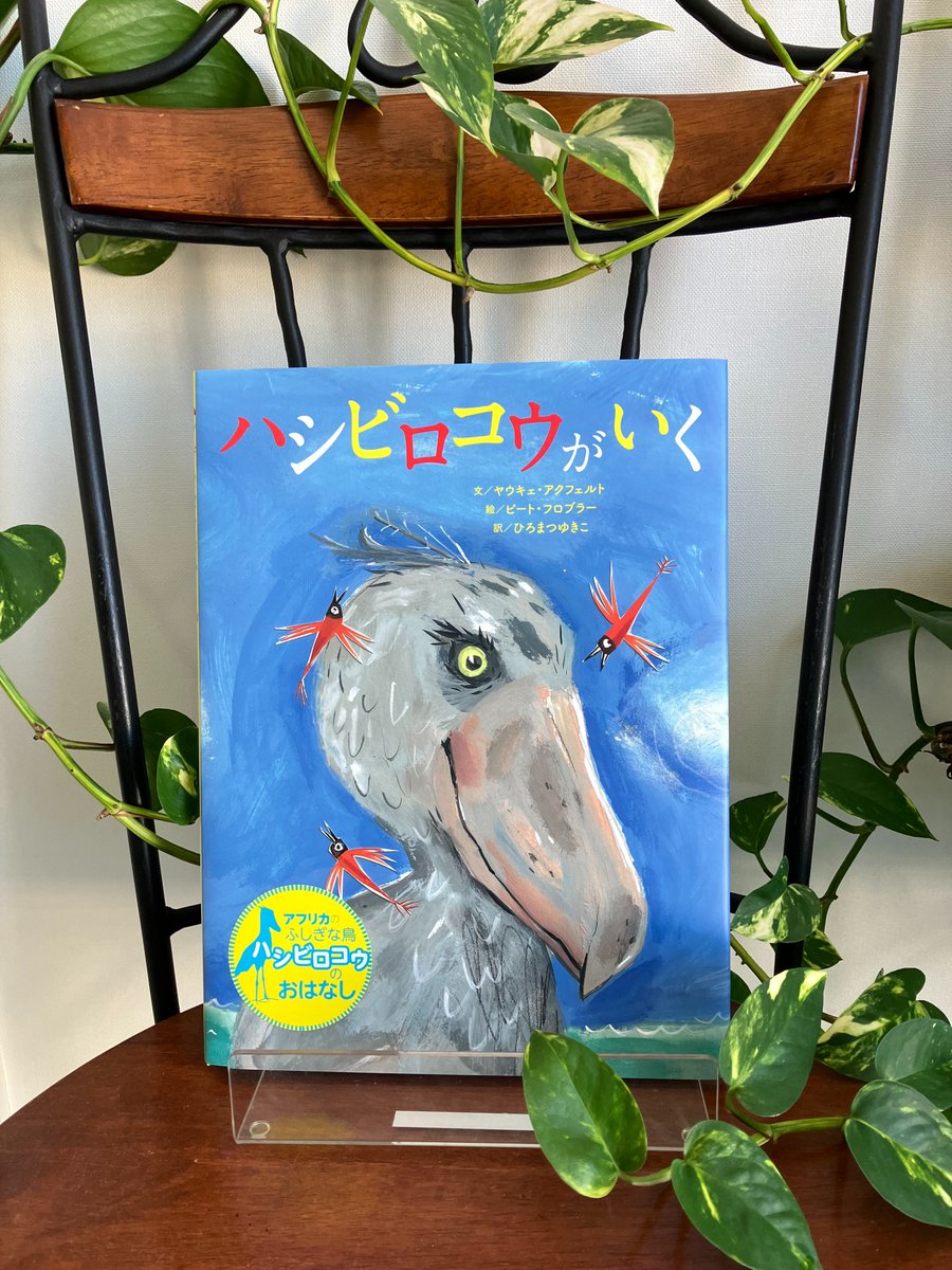 ハシビロコウさま専用ページ びろさま 専用 ♡ハシビロコウ♡さま専用ページ ハシビロラバーズは