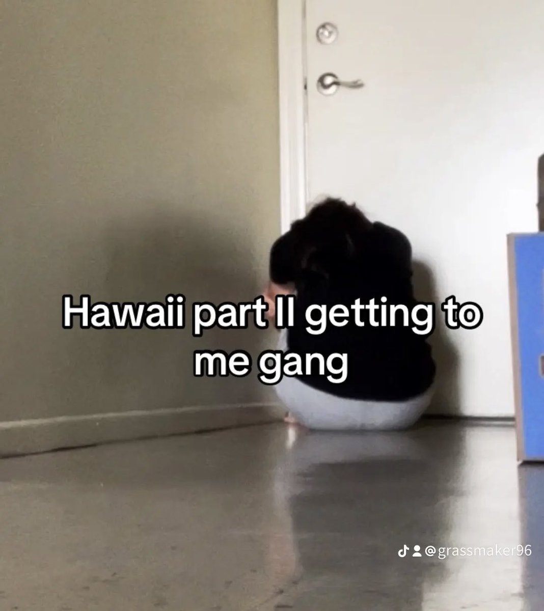 grassmaker96's tweet photo. Posted this onto my TikTok i wanna post it here #hawaiipart https://t.co/P52nlE13HM
