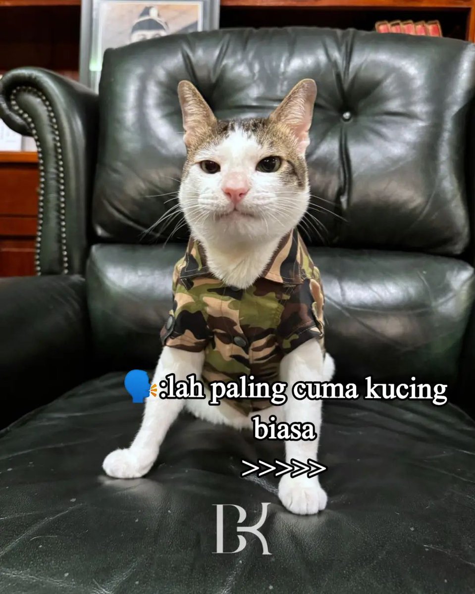 BijakBuzzer's tweet photo. KING BOBBY KARTANEGARA SEDANG MEMASAK🔥

#bobbykartanegara #kucingprabowo #prabowopresiden #prabowosubianto #kabinetmerahputih #kucing https://t.co/QgWhuS9ccd