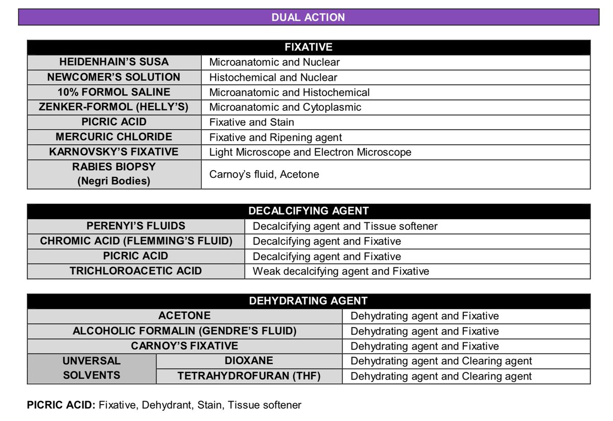 brainrotgaIore's tweet image. DUAL ACTIONS IN HISTOPATH