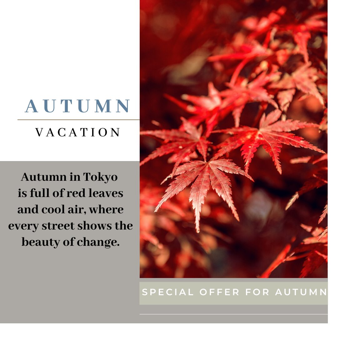 BedandStay's tweet photo. Good morning!

The temperature is dropping in Tokyo, and it truly feels like autumn now. 

If you’re planning a last-minute trip to enjoy the beautiful autumn leaves, our Airbnb still has availability. 

https://t.co/ZdKO7gBGwV
#airbnb #vacations #placetostay #tokyo #fypシviral https://t.co/FYdRzs1ql1