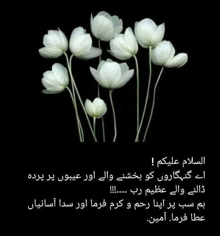 Mahiii__0's tweet photo. #asslam. O. #alikum #subha #bakhir https://t.co/okBeFQdTX3