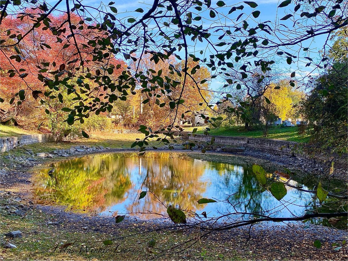 lotuswinnielee's tweet photo. Pretty Autumn view of the half dried Dell Water @GreenWoodHF #autumnscenery #fallscenery #fall https://t.co/QsX9tb2AKU